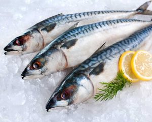 Mackerel Fresh with the best quality.